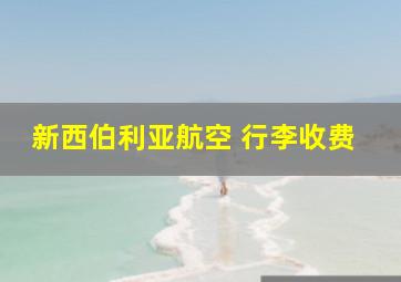 新西伯利亚航空 行李收费